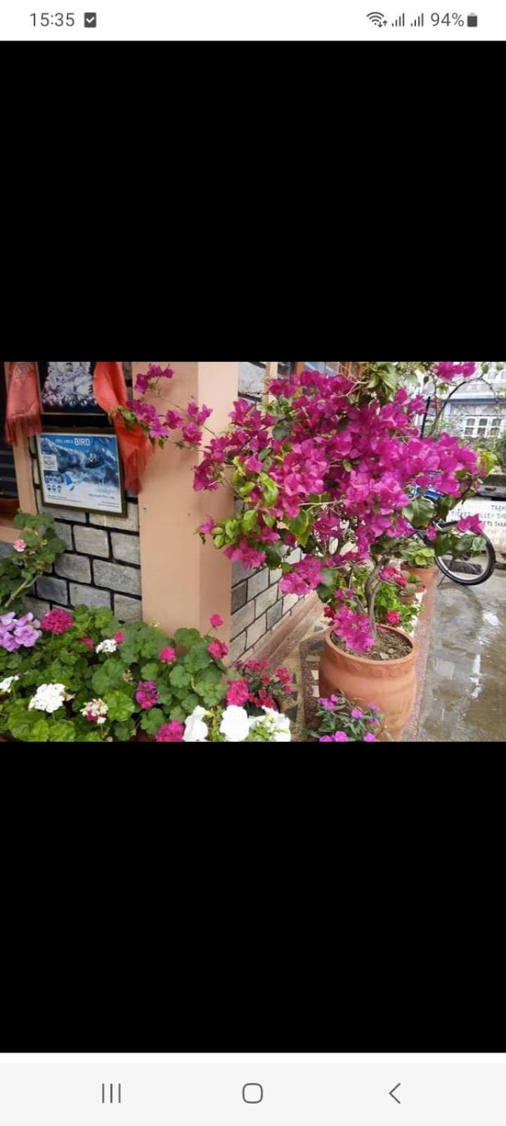 Galaxy Inn Guest House Pokhara Exterior foto